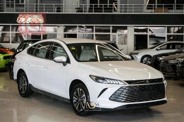 بي واي دي Qin Plus 2025 للبيع في العراق - اربيل